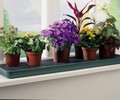 Self Watering Windowsill Plant Tray